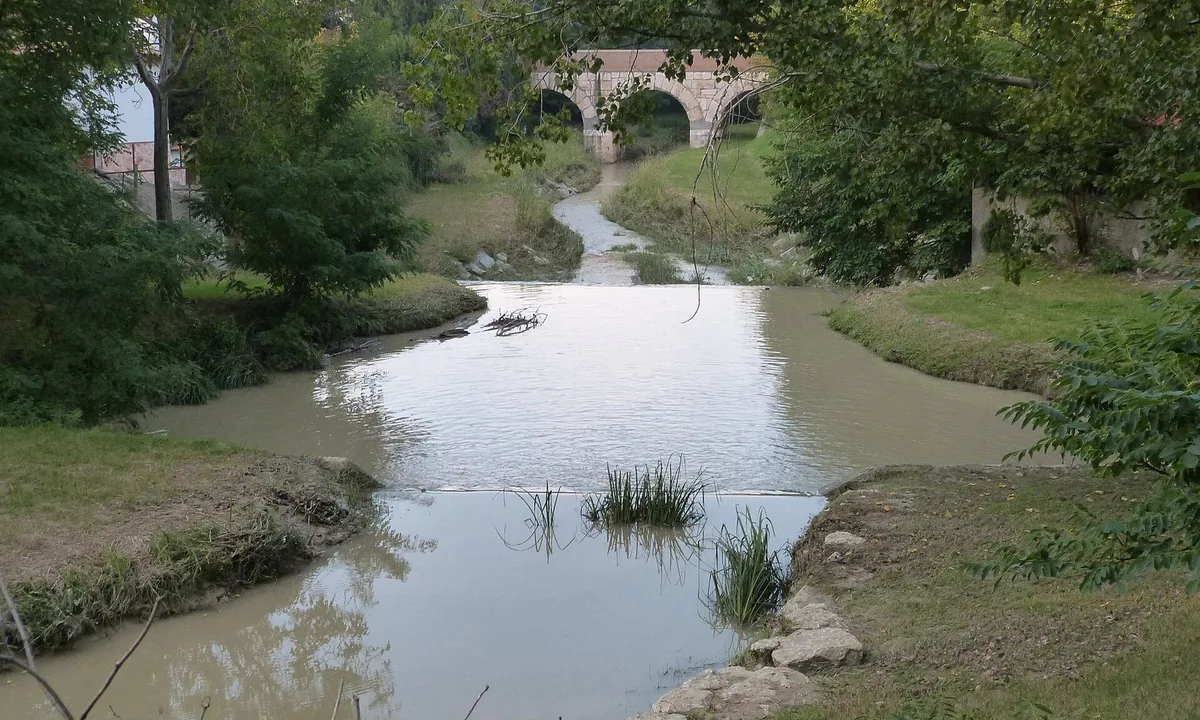 A narrow, slow river between grassy banks lined with trees.
