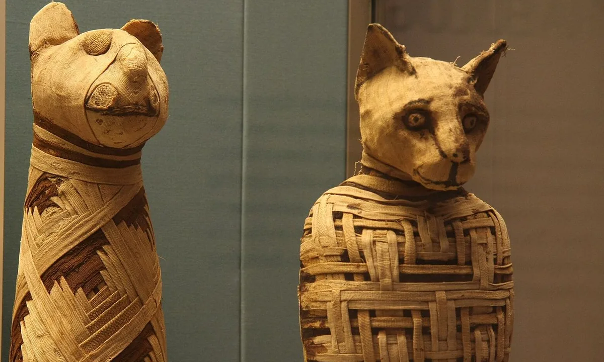 Several tall, narrow linen-wrapped bundles shaped like seated cats, with pointed ears and painted faces.