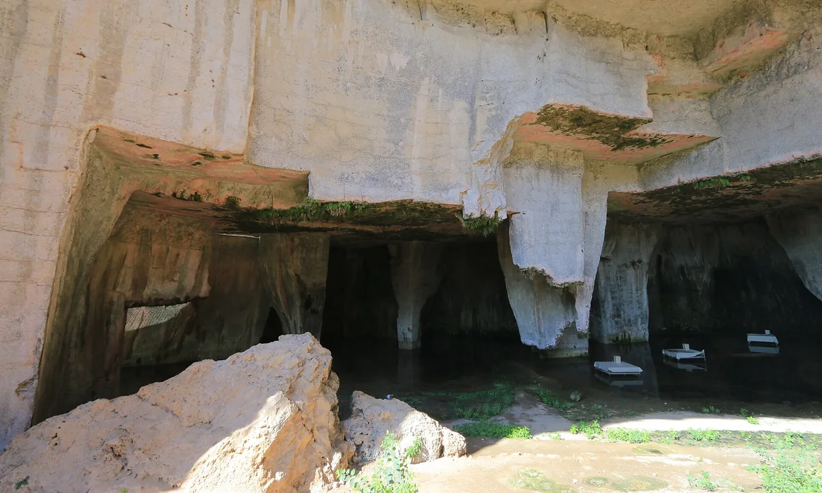 A deep pale limestone quarry with sheer walls, overhanging rock and dark cave openings at its base, with plants on the quarry floor.