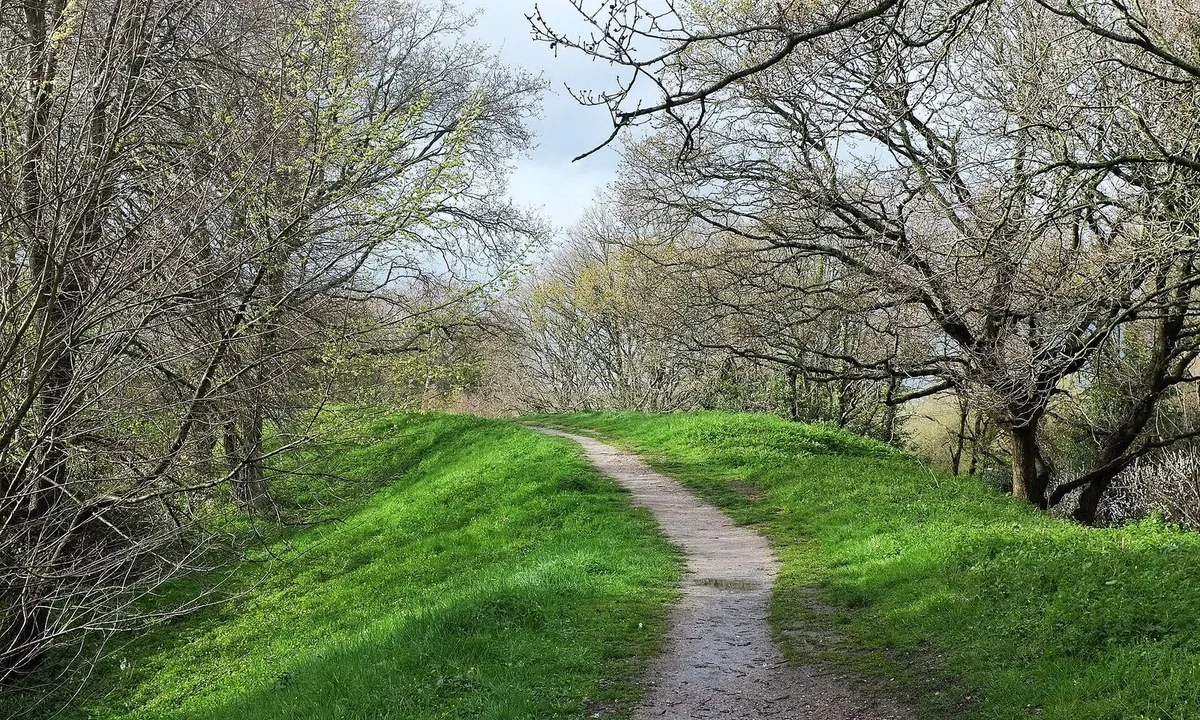 Grassy earthen bank with a footpath running along its top between bare trees.