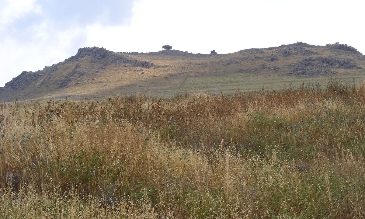 Low rocky ridge with two rounded humps rising behind a field of tall dry yellow grass.